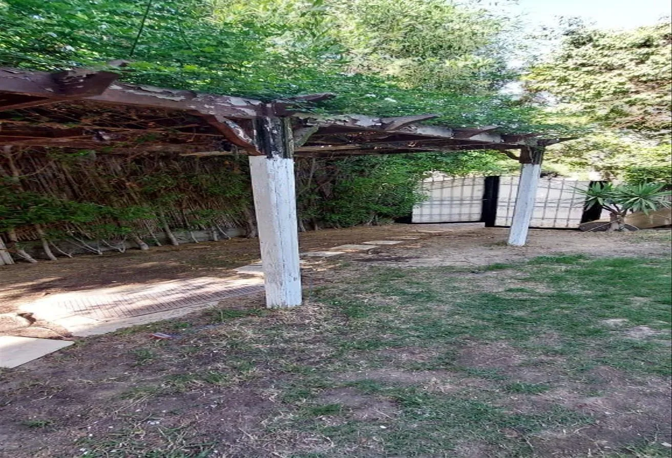 Gallery Image 8