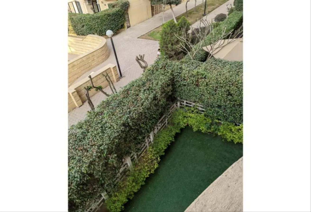 Gallery Image 11