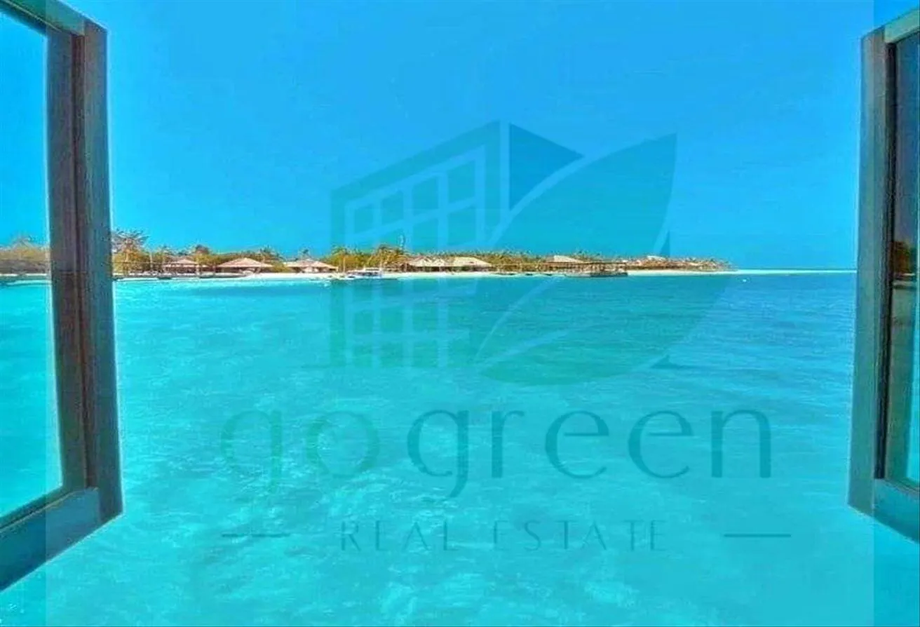 Gallery Image 9