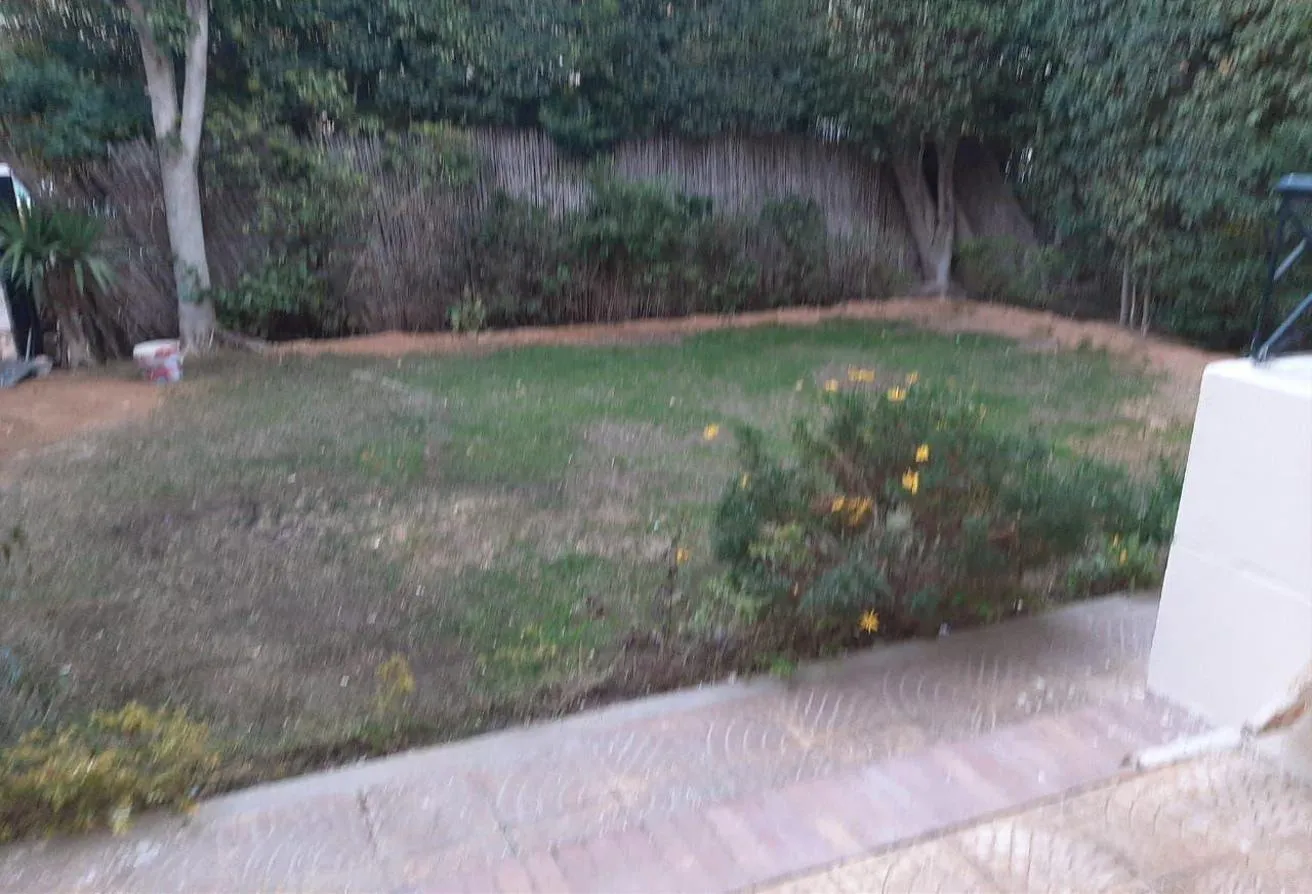 Gallery Image 18