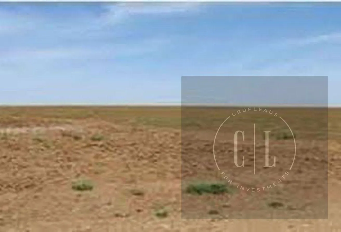 Sale in Ras Al Hekma: Request from owner big Land in northcoast for sale