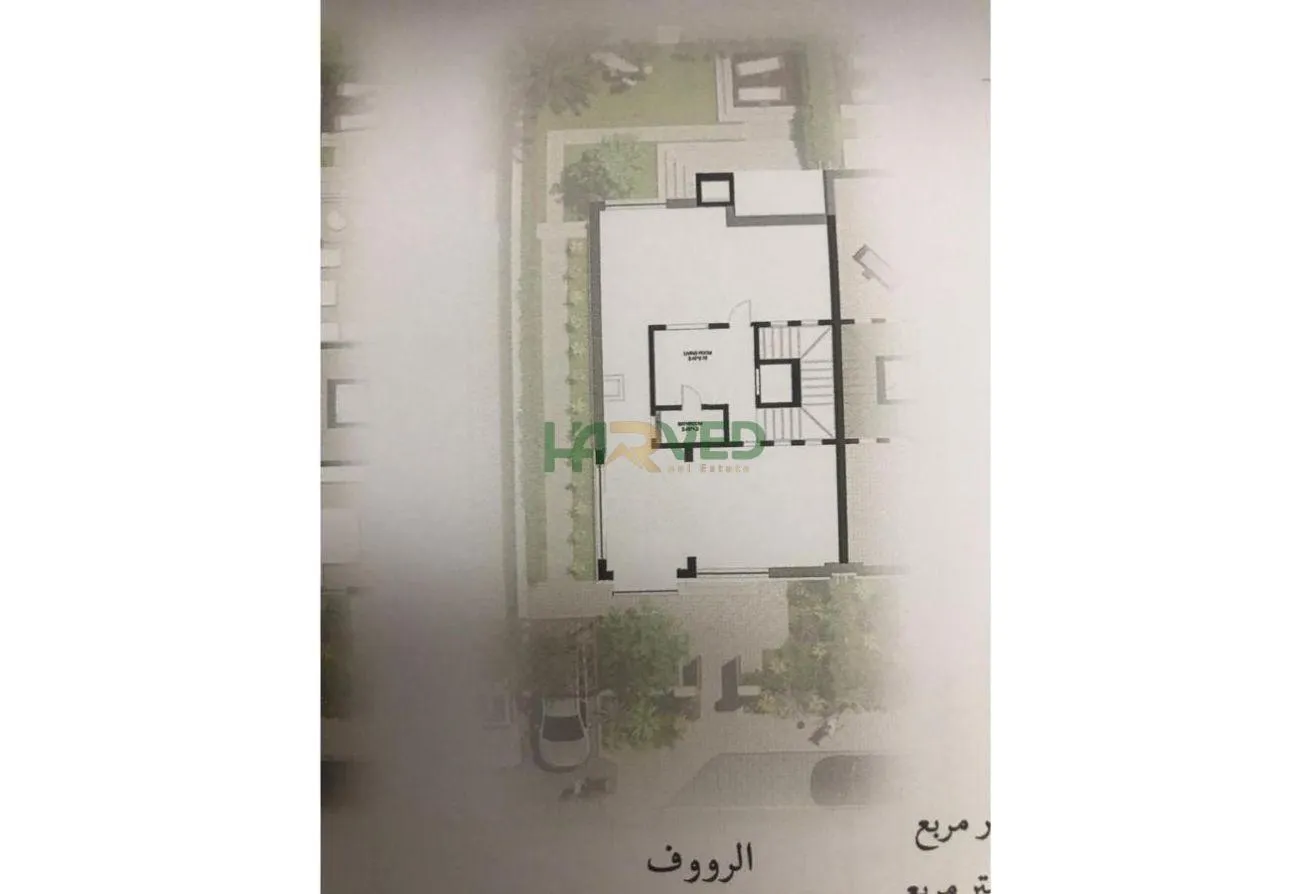 Gallery Image 22