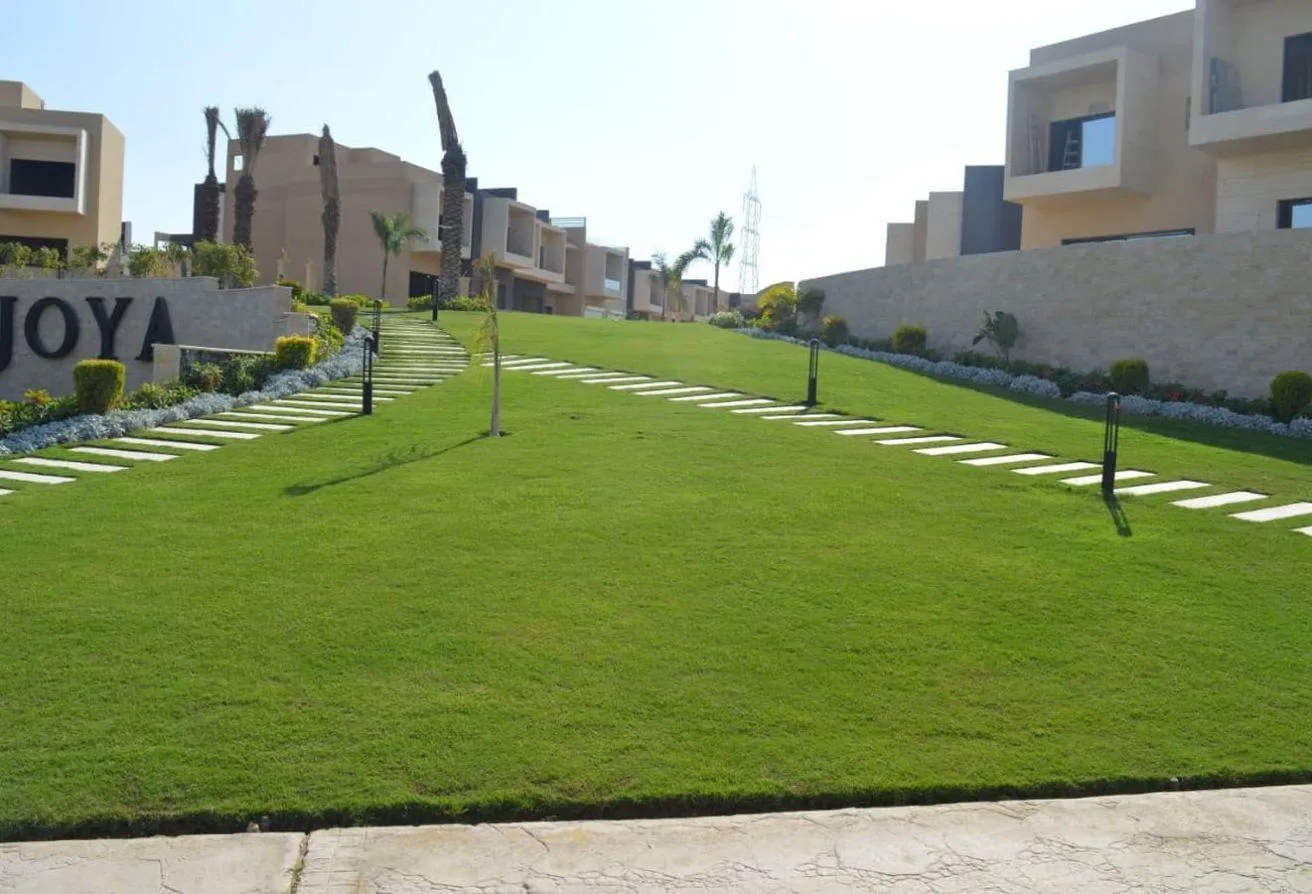 Gallery Image 6