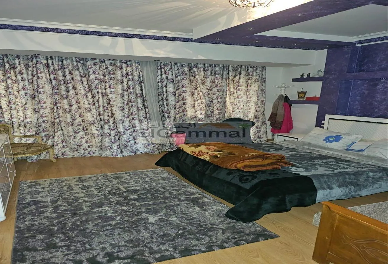 Gallery Image 12