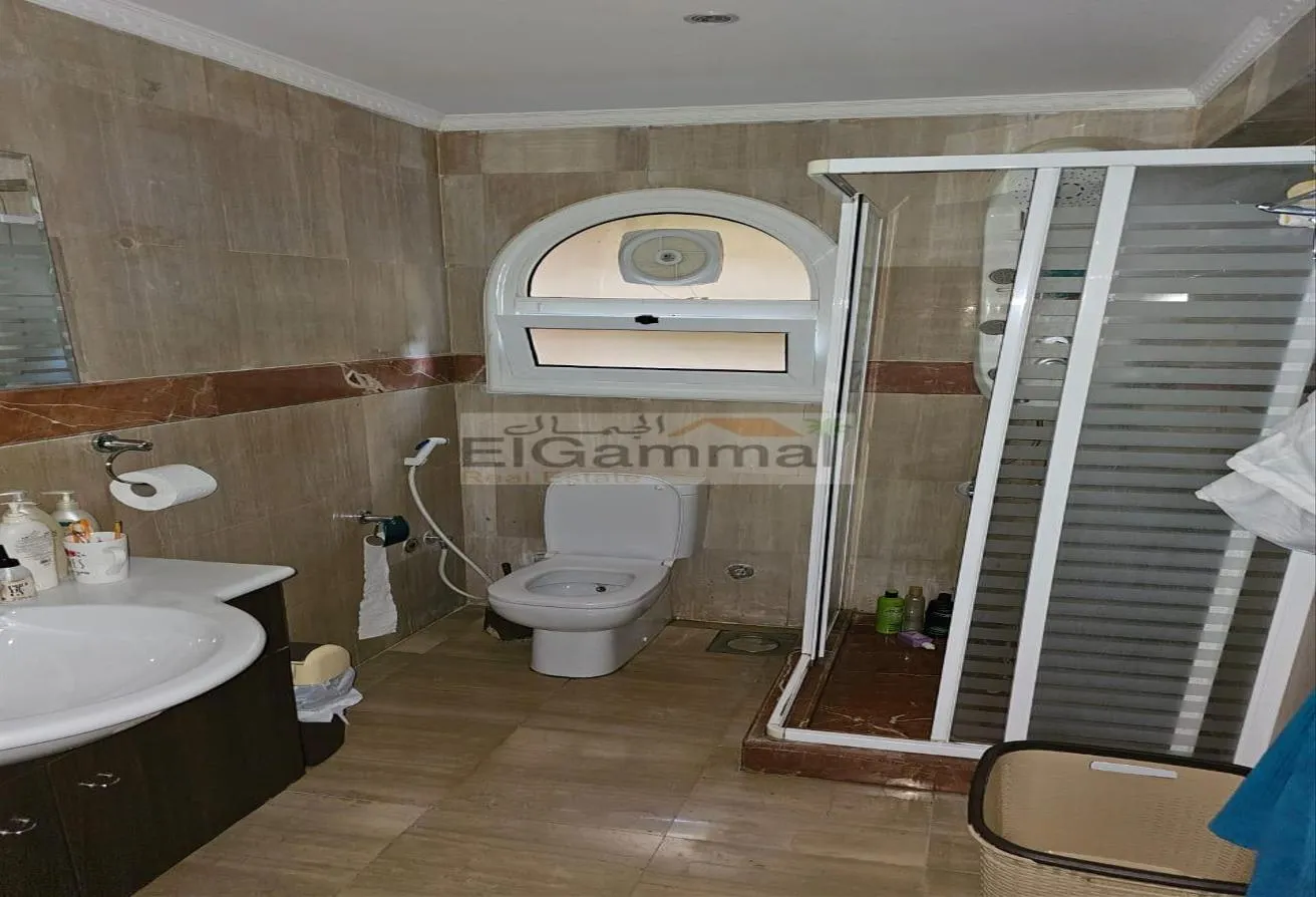 Gallery Image 15