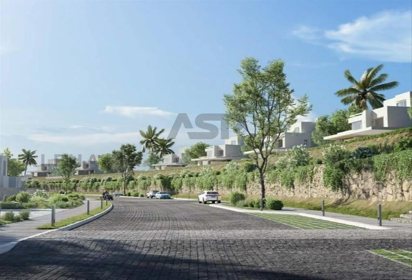 Gallery Image 10
