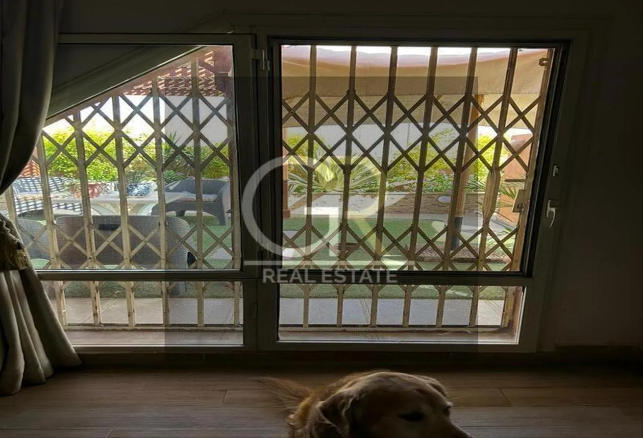 Gallery Image 5