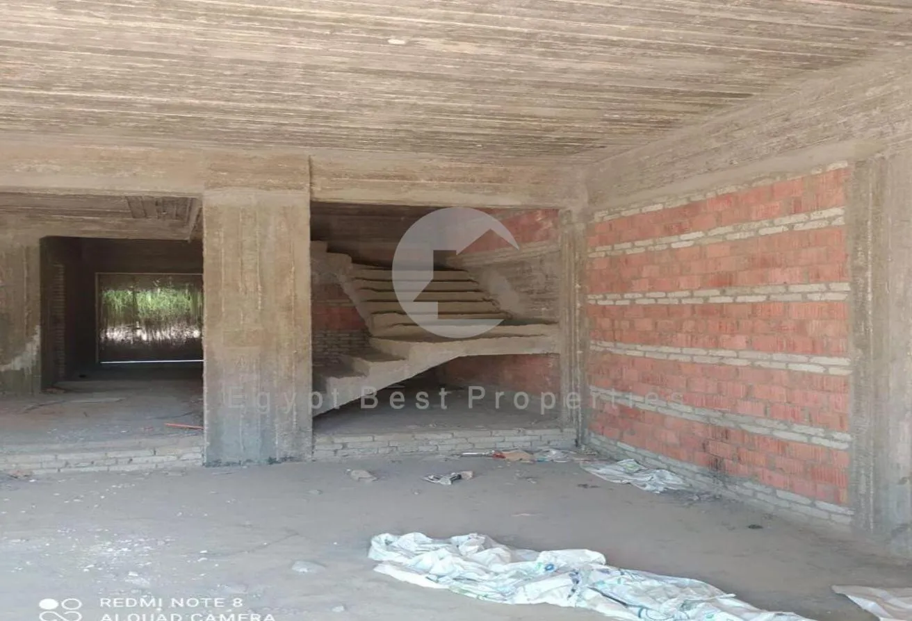 Gallery Image 8