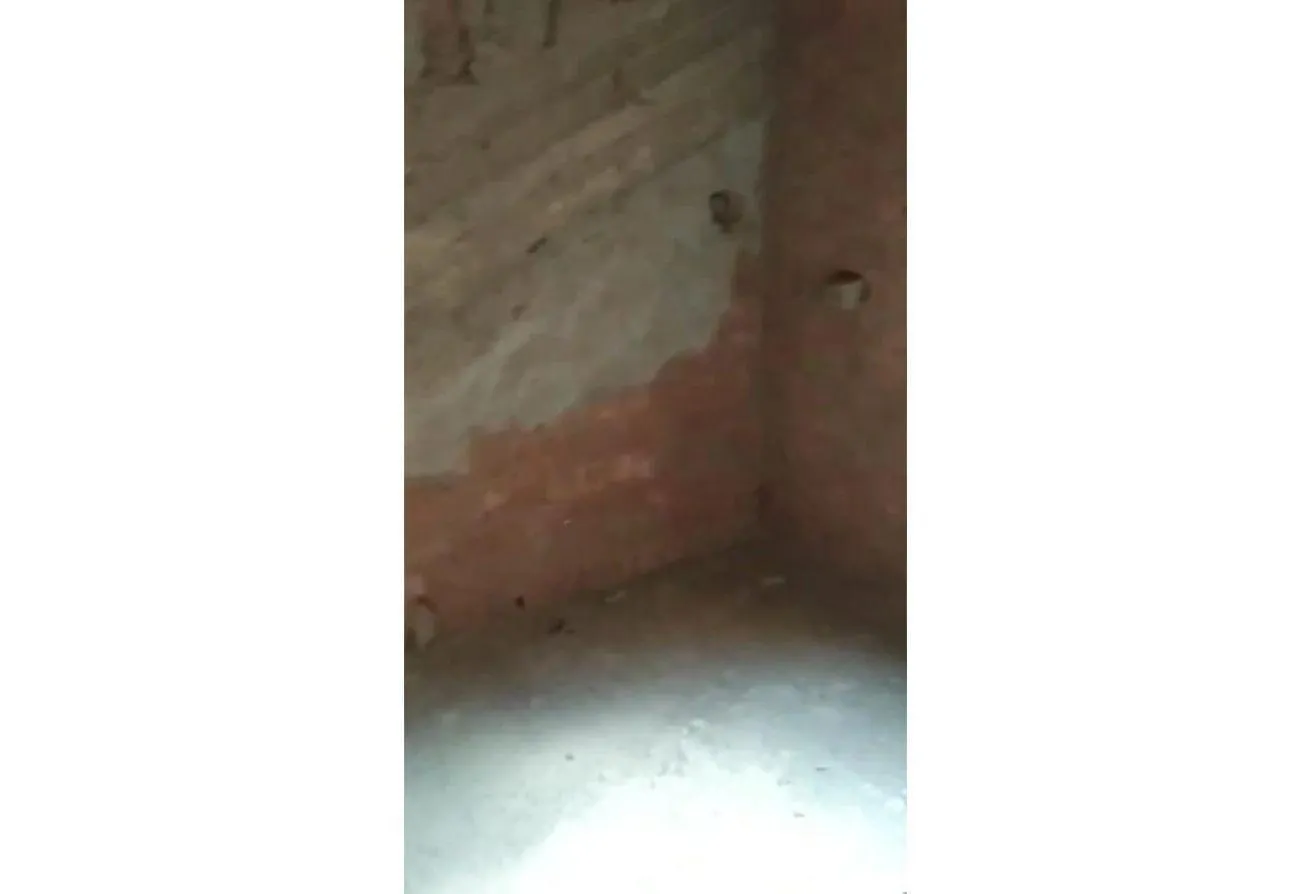 Gallery Image 23