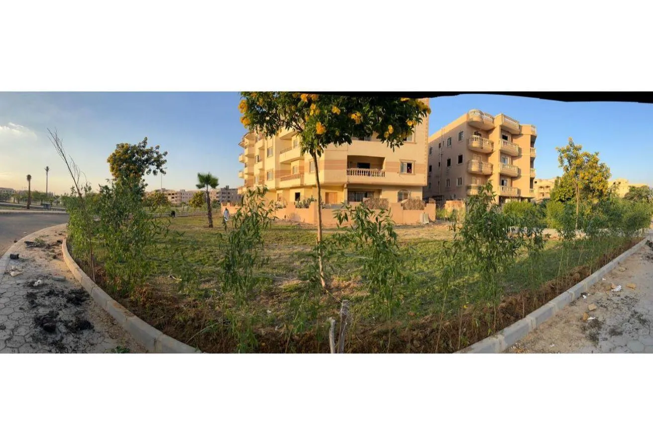 Gallery Image 19