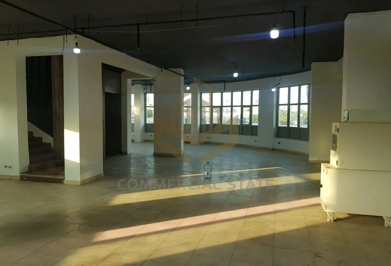 Rent in Mostafa Kamel Axis: Building at Mostafa Kamel Axis-Rent-1st Settlement