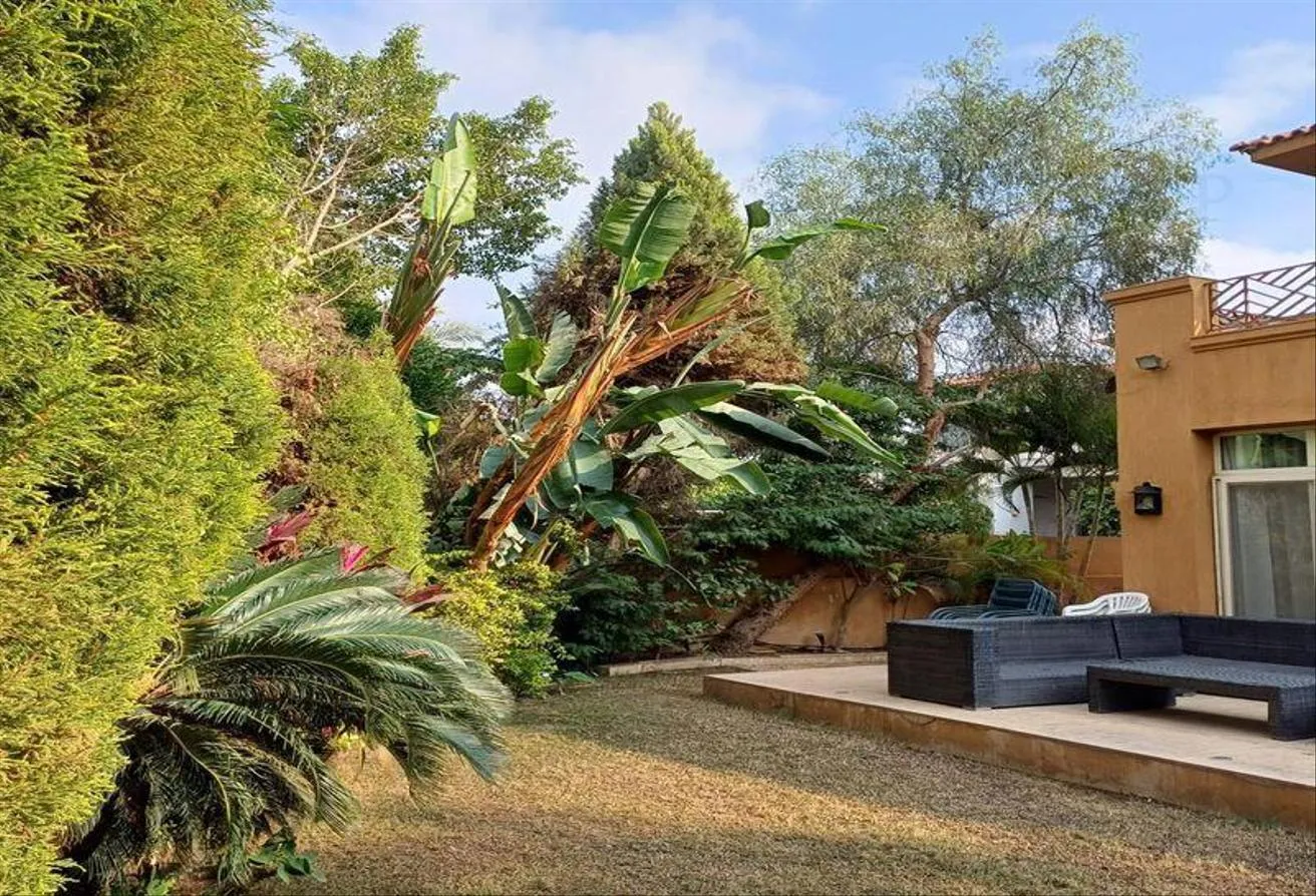 Gallery Image 7