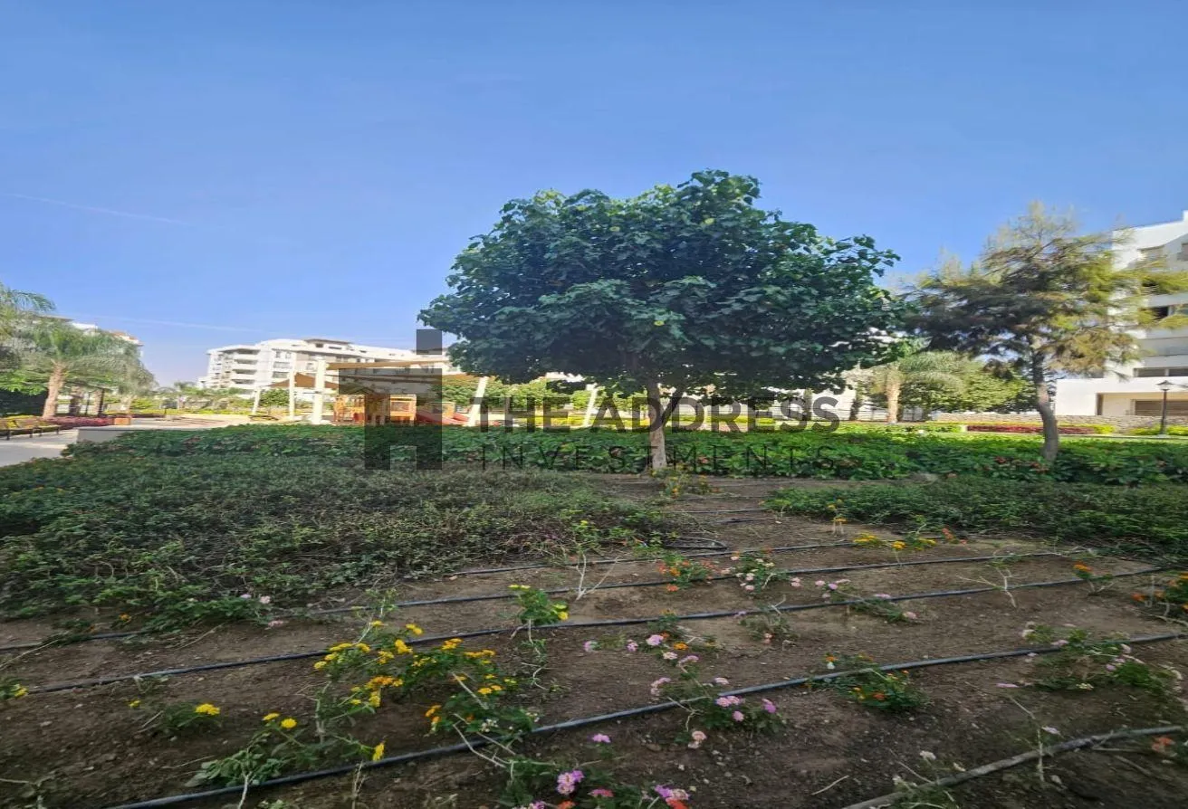 Gallery Image 15