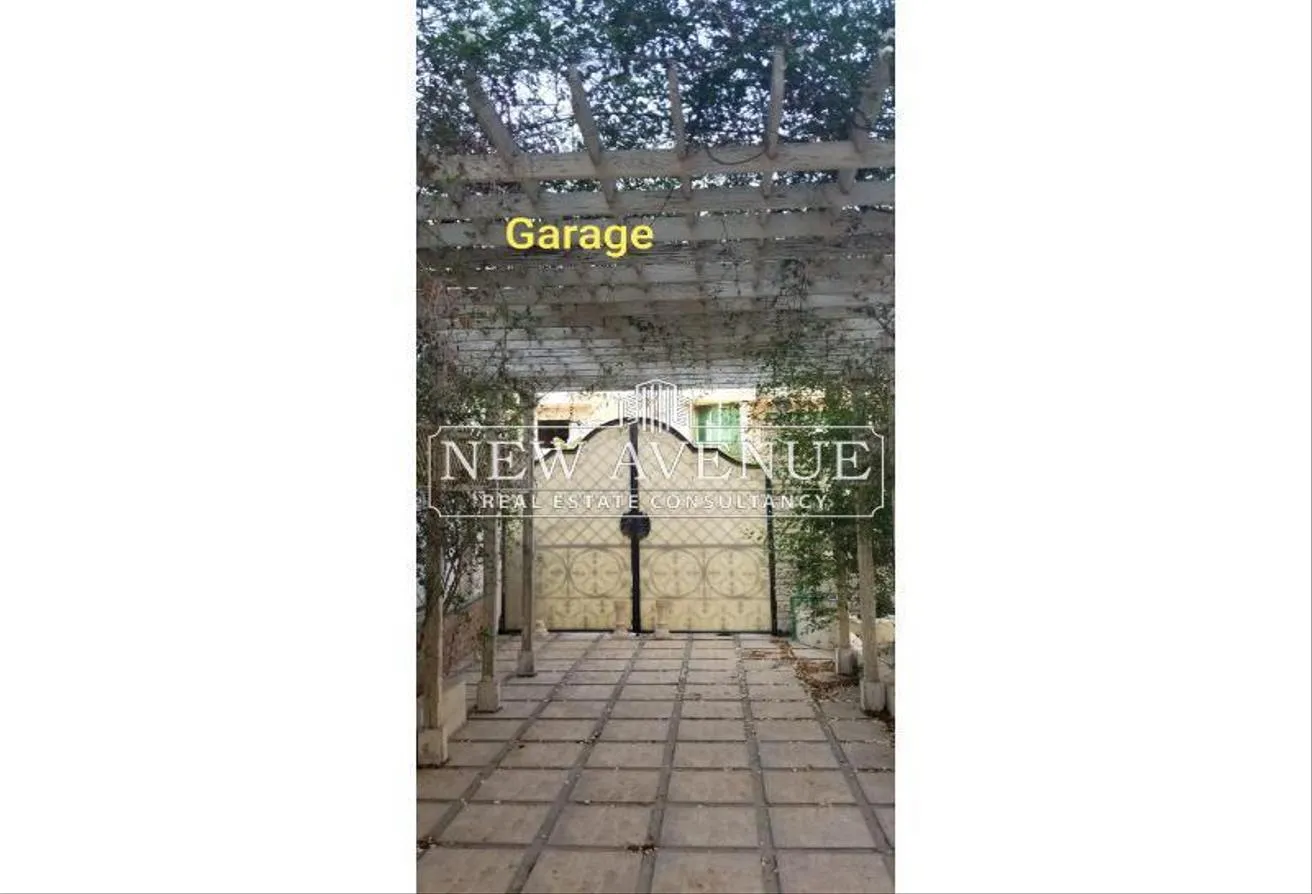 Gallery Image 14