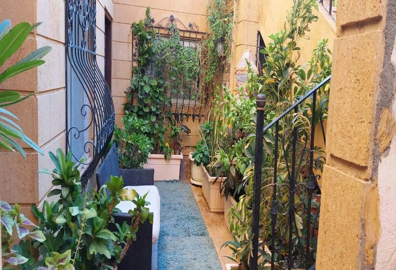 Gallery Image 6