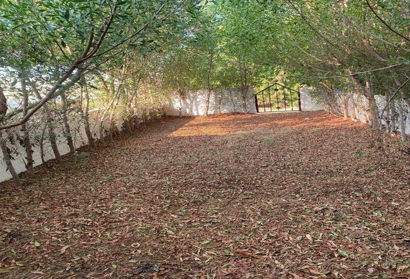 Gallery Image 10