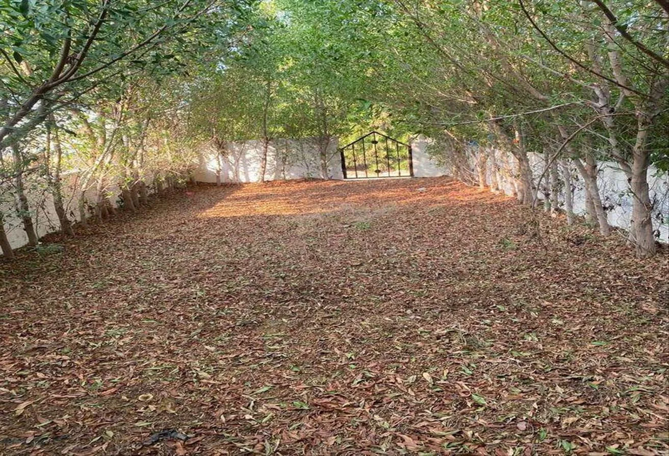 Gallery Image 6