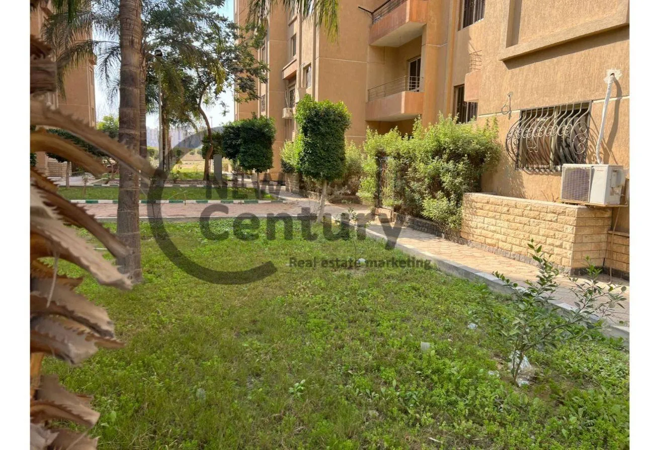 Gallery Image 11