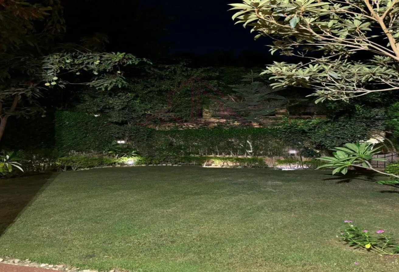 Gallery Image 9