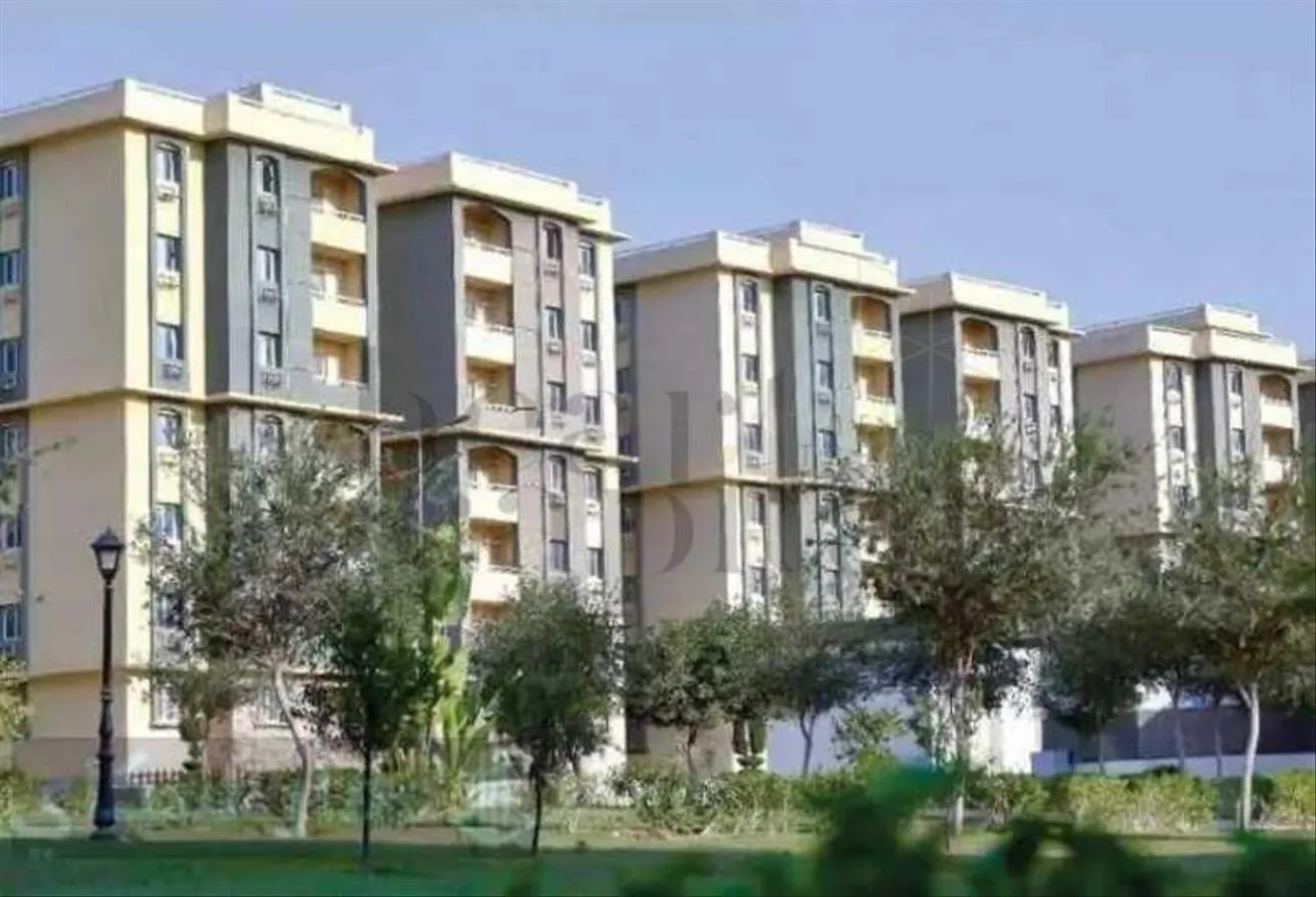 Gallery Image 6