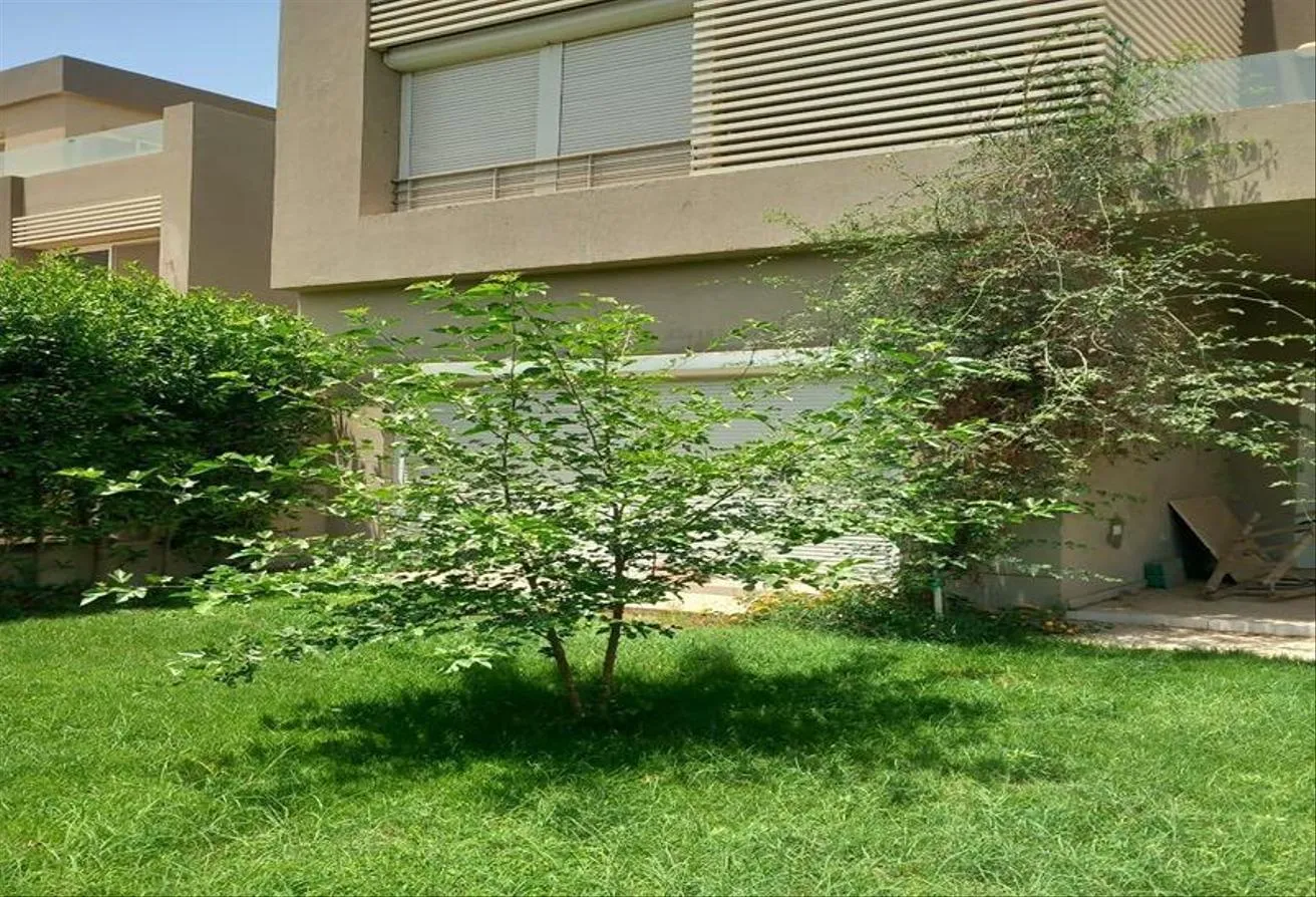 Rent in Palm Hills WoodVille: Furnished twin house for rent in woodville.