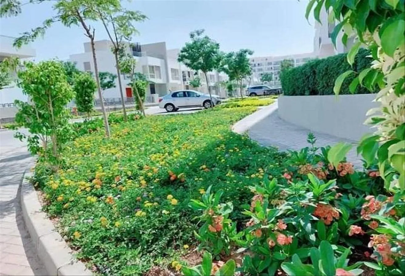 Gallery Image 25
