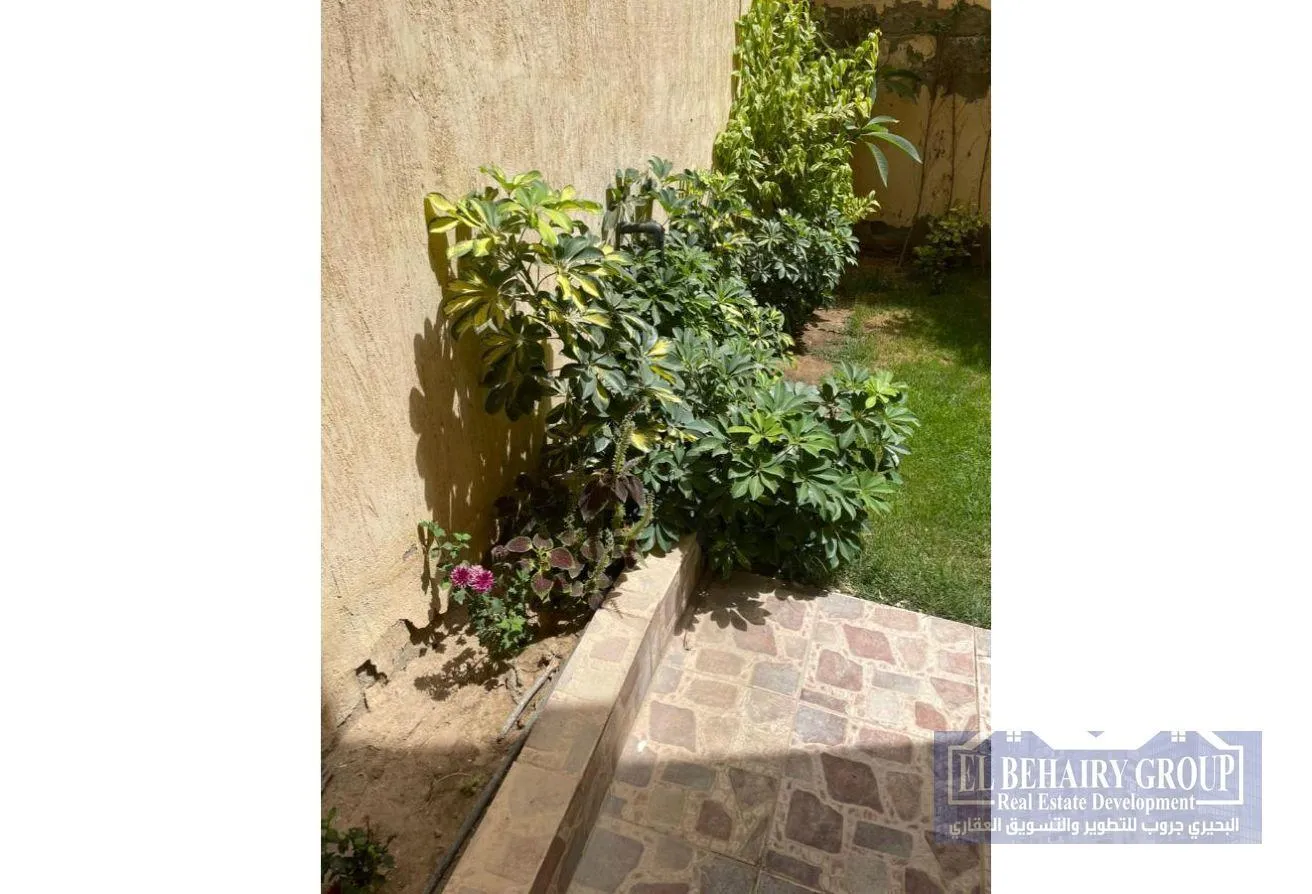 Gallery Image 12