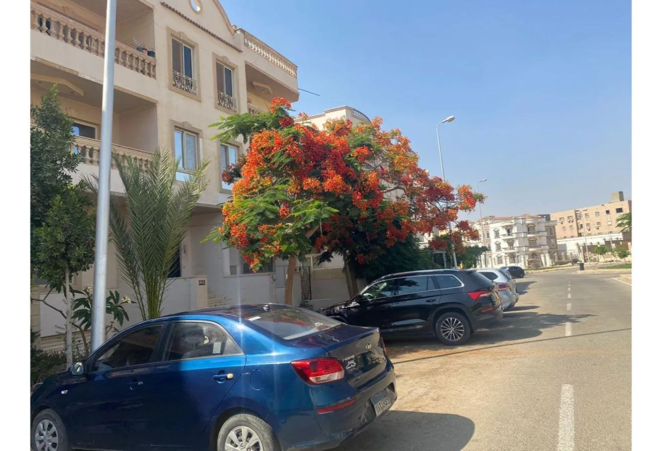 للايجار في توليب النرجس: شقة للإيجار في موقع متميز بالنرجس 1 فيلات 