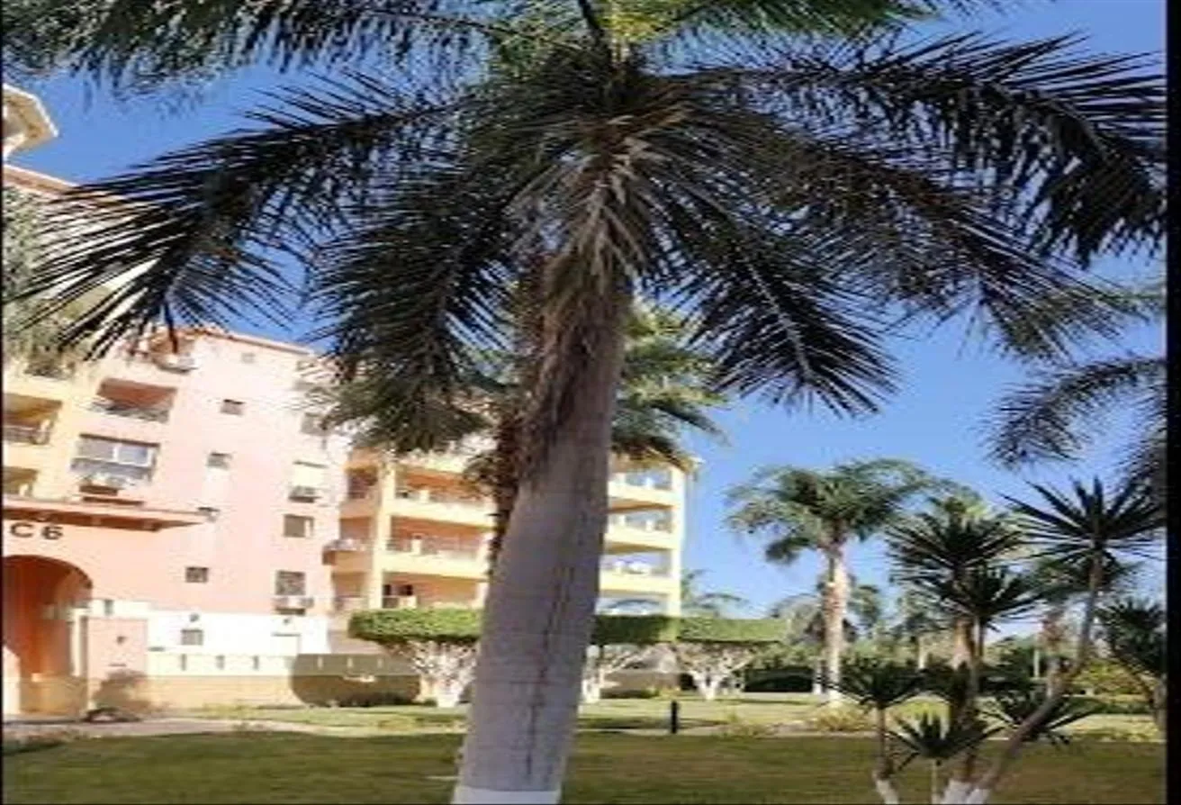 Gallery Image 10