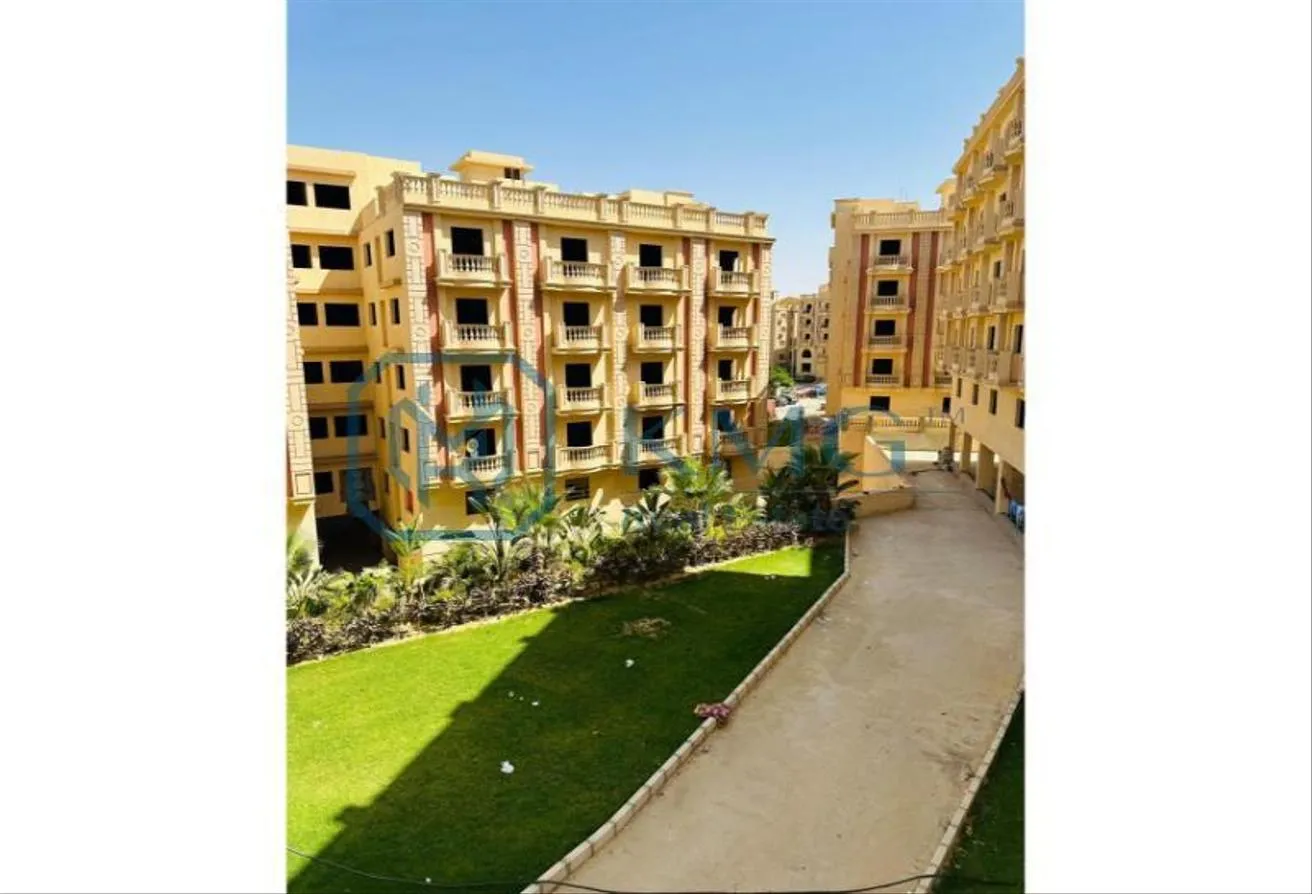 Gallery Image 8