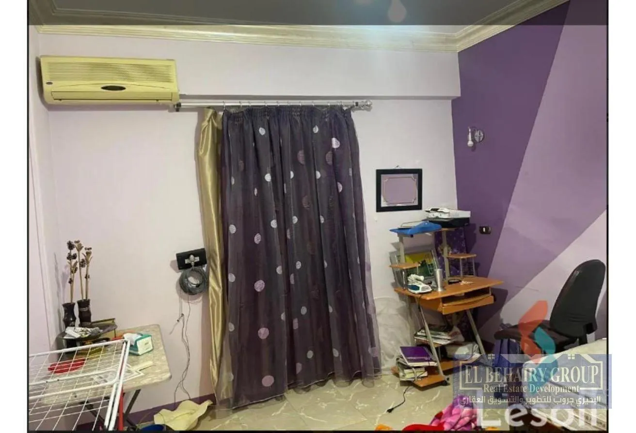 Gallery Image 15