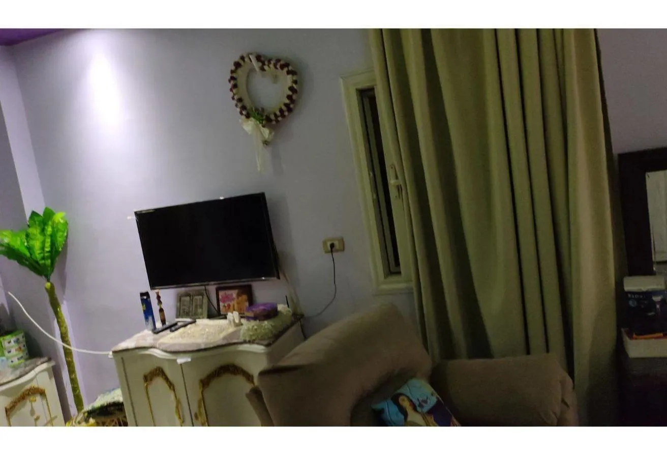 Gallery Image 7