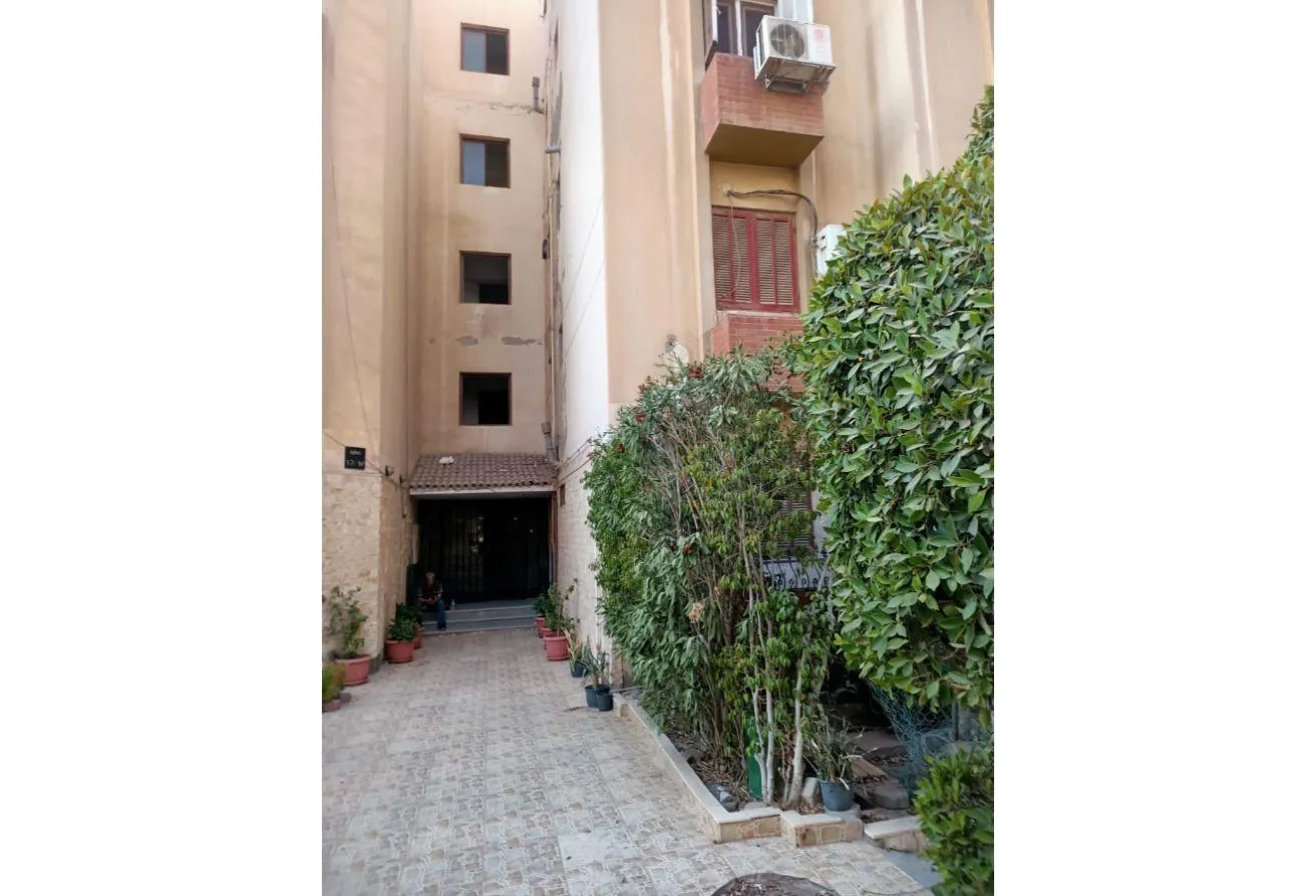 Gallery Image 6