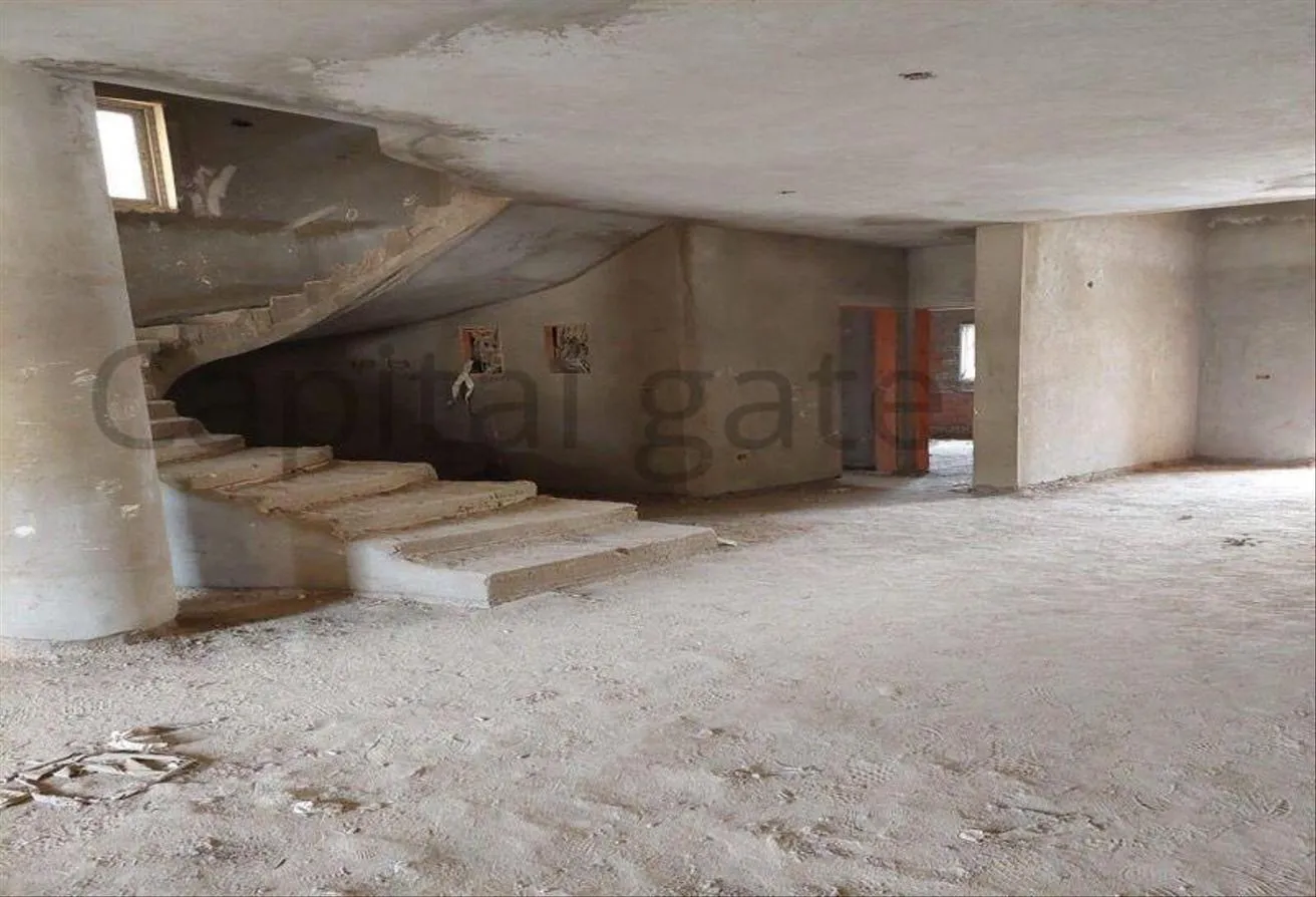 Gallery Image 7