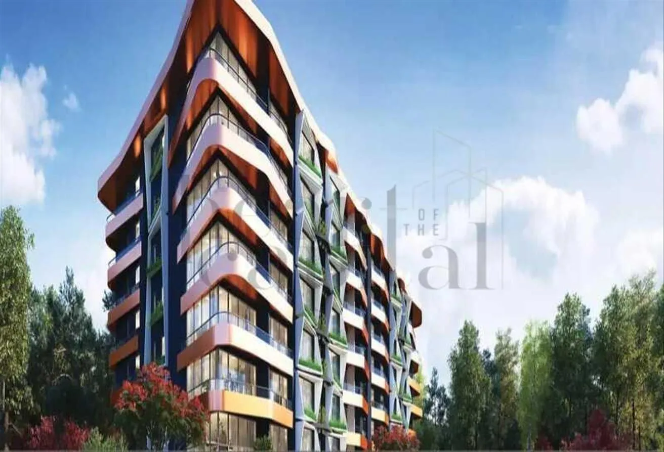 Gallery Image 10
