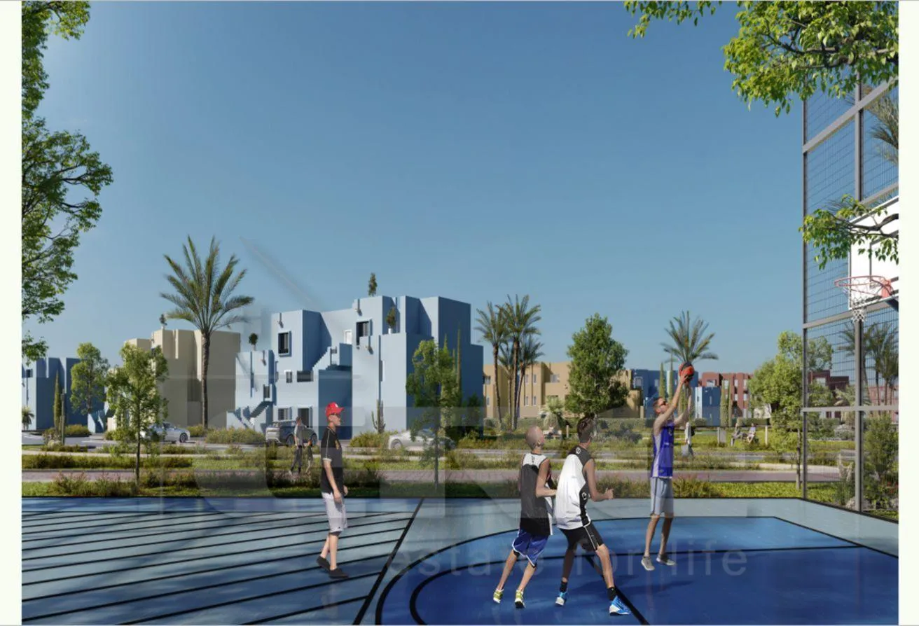 Gallery Image 7