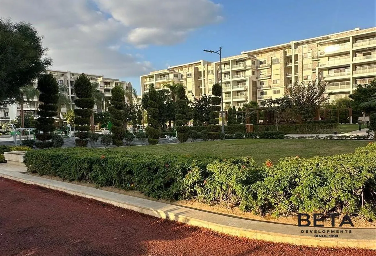 Gallery Image 12