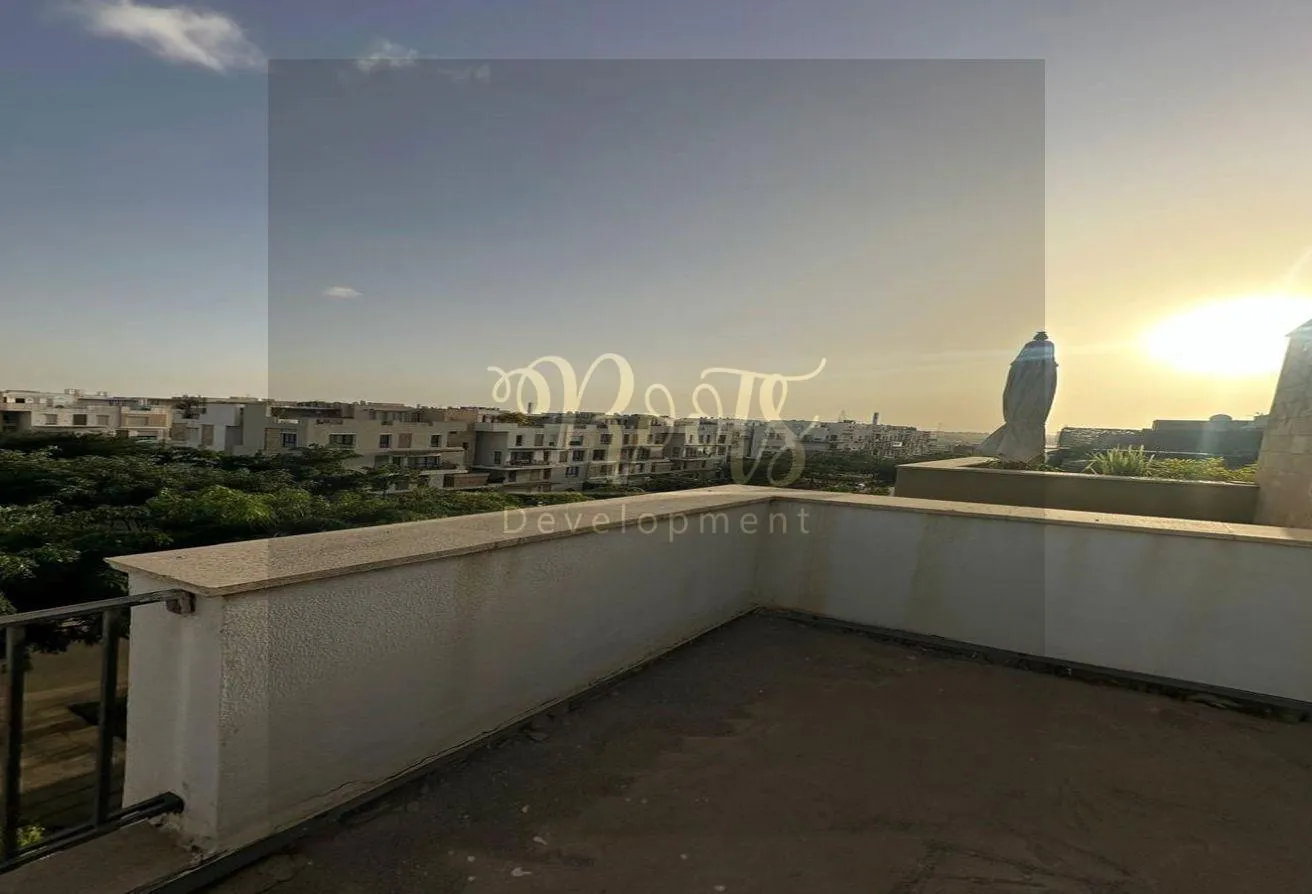 Gallery Image 10