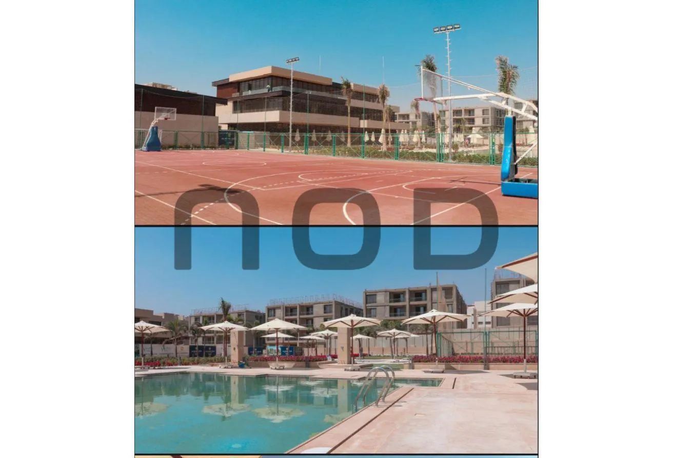 Gallery Image 14