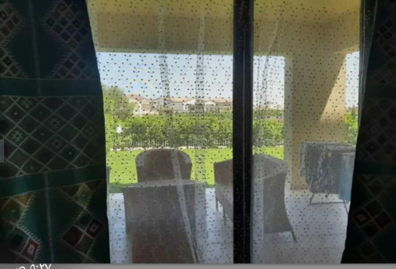 Gallery Image 14
