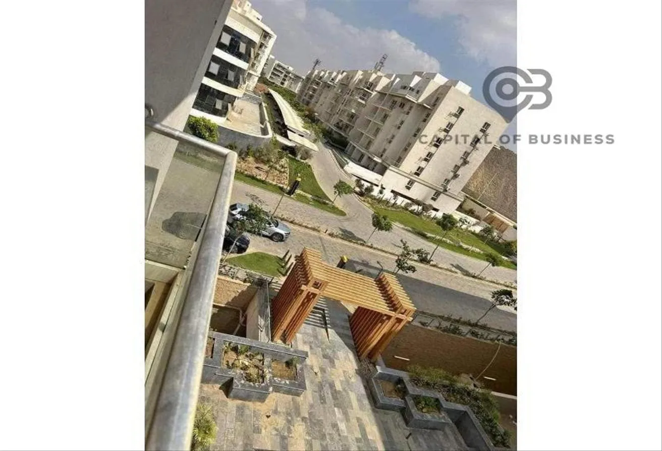 Gallery Image 9