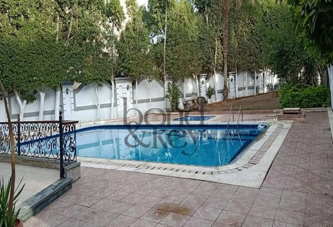 Gallery Image 14