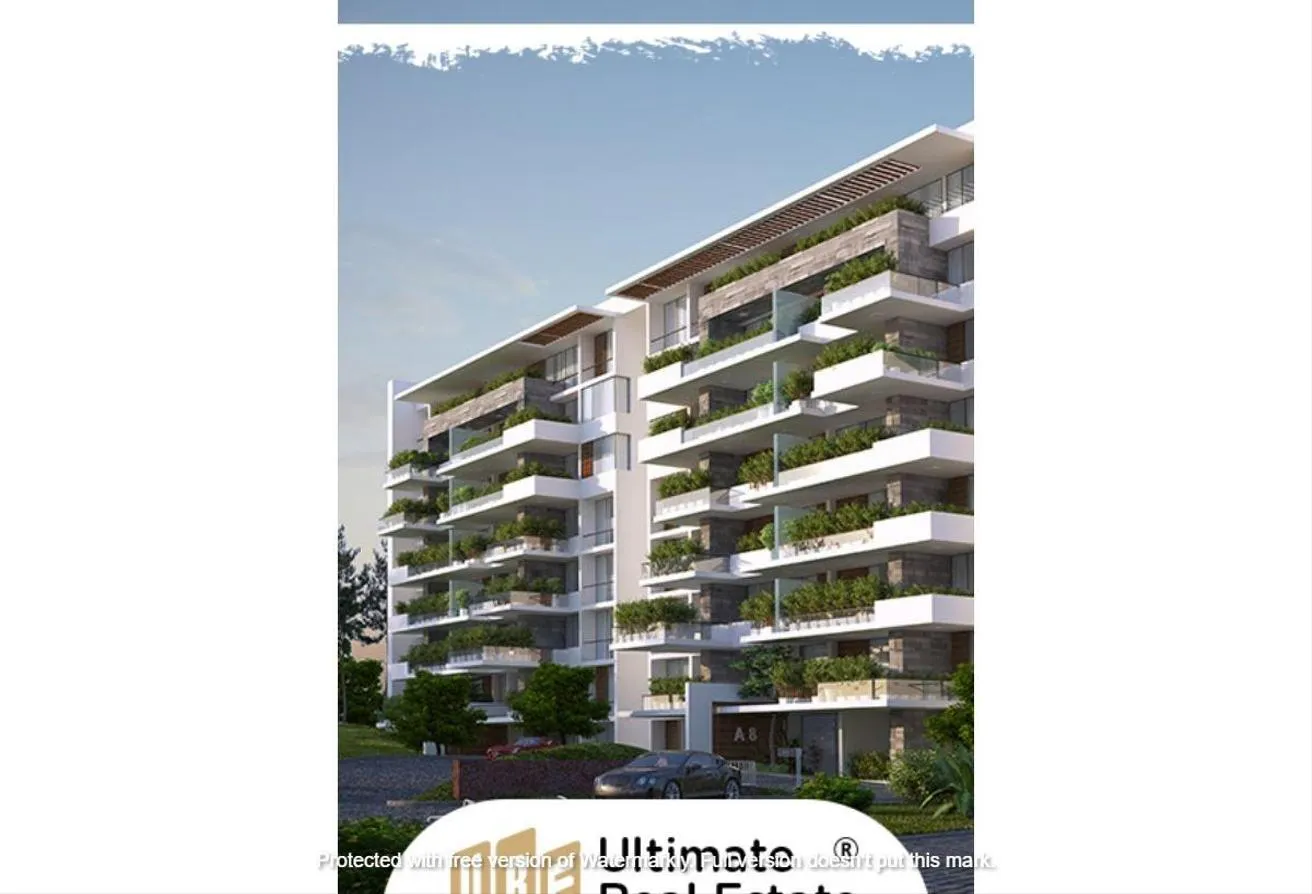 Gallery Image 9