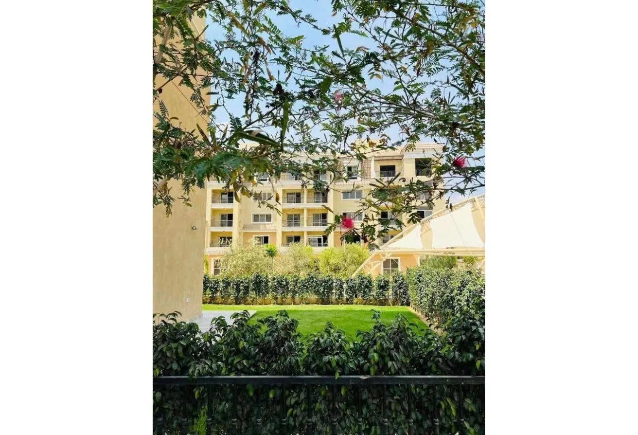 Gallery Image 11