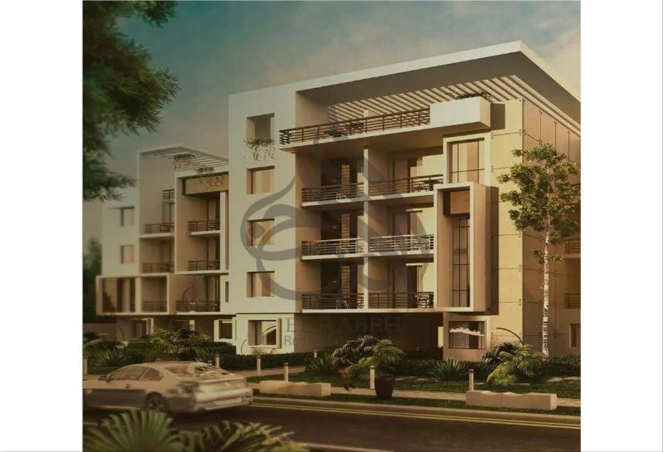 Gallery Image 7