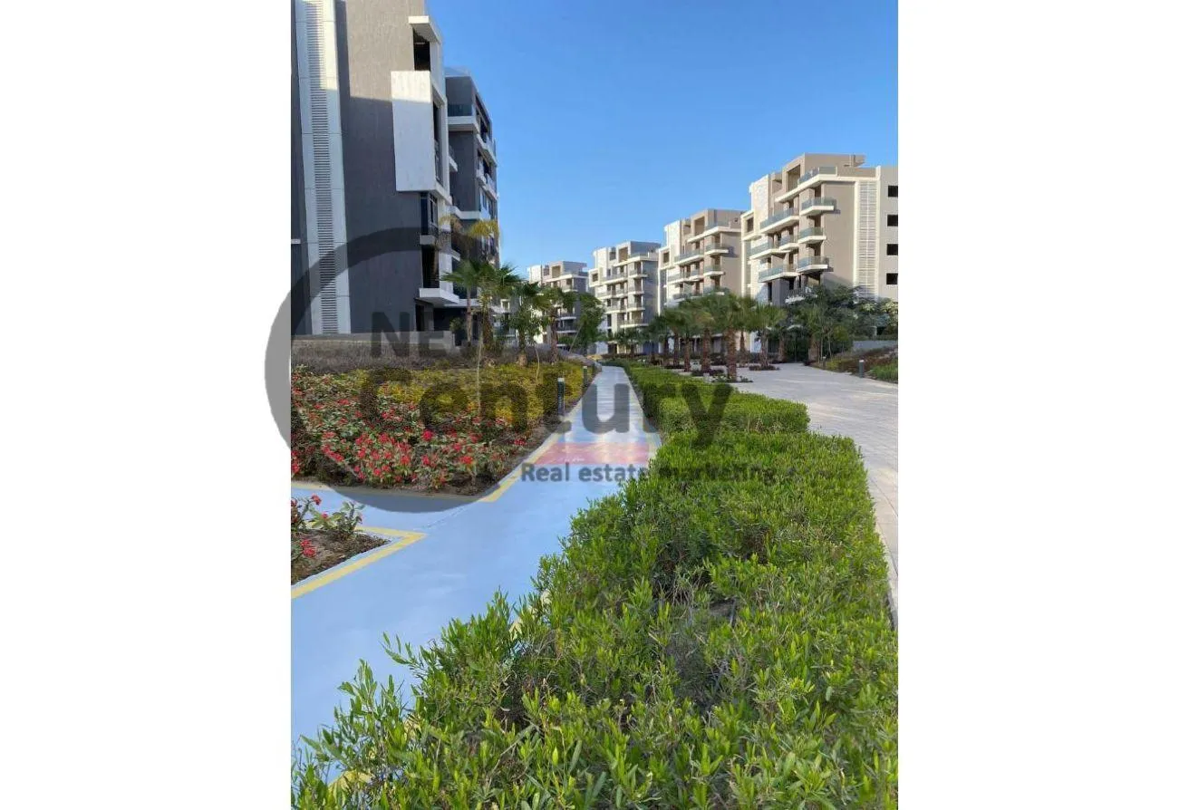 Gallery Image 21