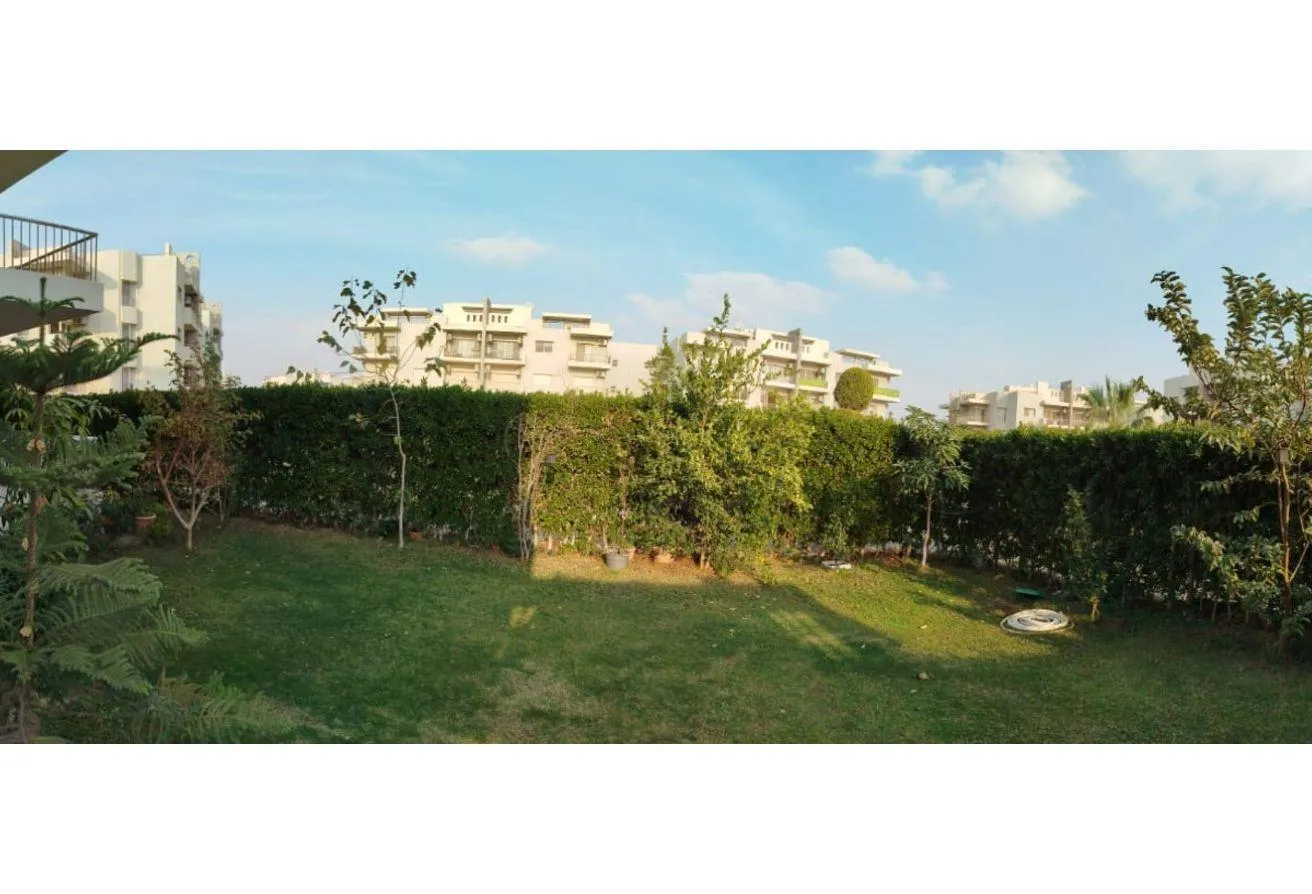 Gallery Image 8