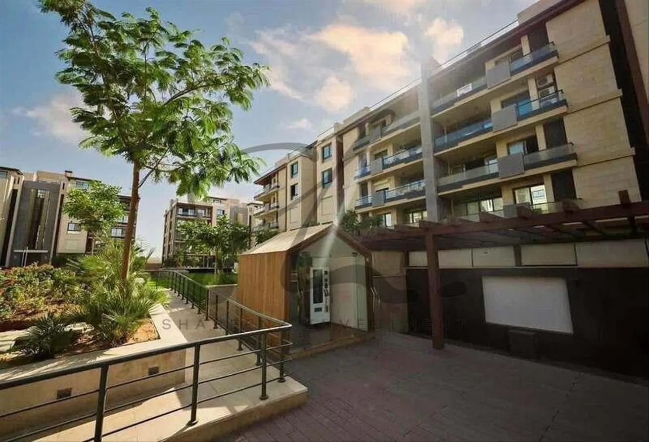 Gallery Image 10
