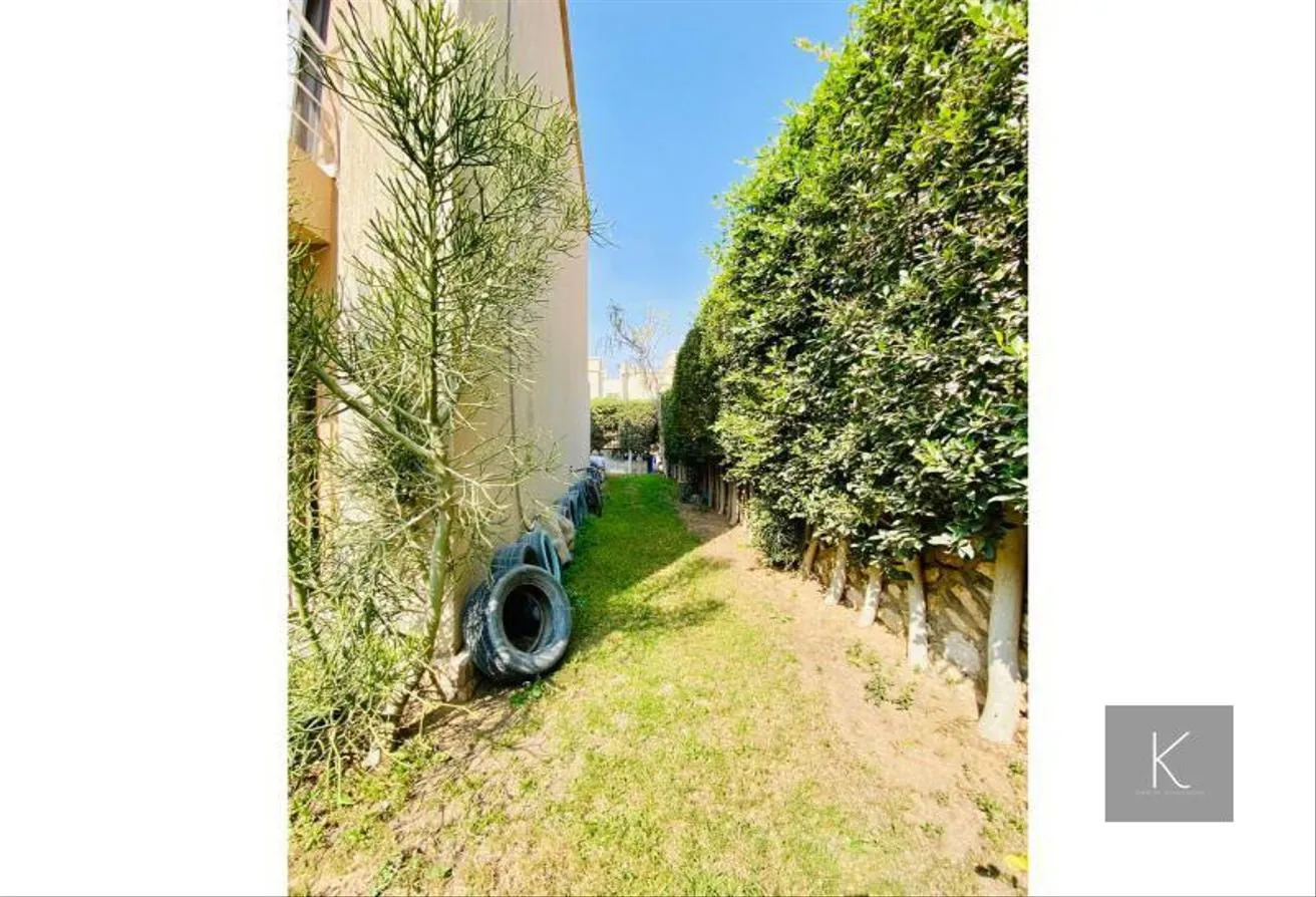 Gallery Image 6