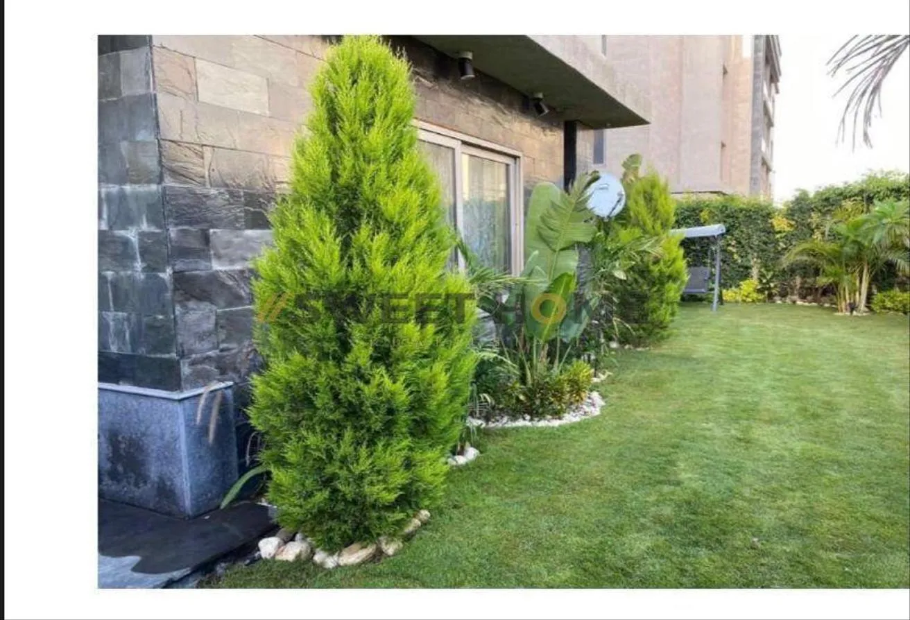Gallery Image 10